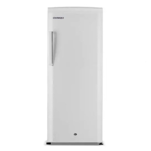 Морозильник Changer BD-280B